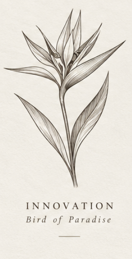 COLLECTION No. 01 · Innovation Engraving · Bird of Paradise