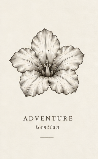 COLLECTION No. 01 · Adventure Engraving · Gentian